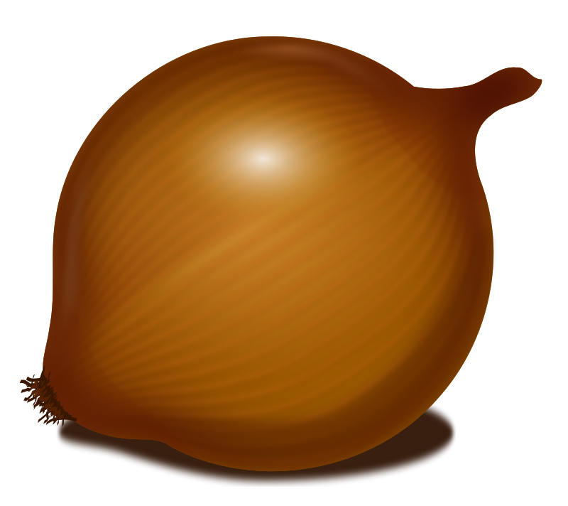 Onion PNG image, free download picture