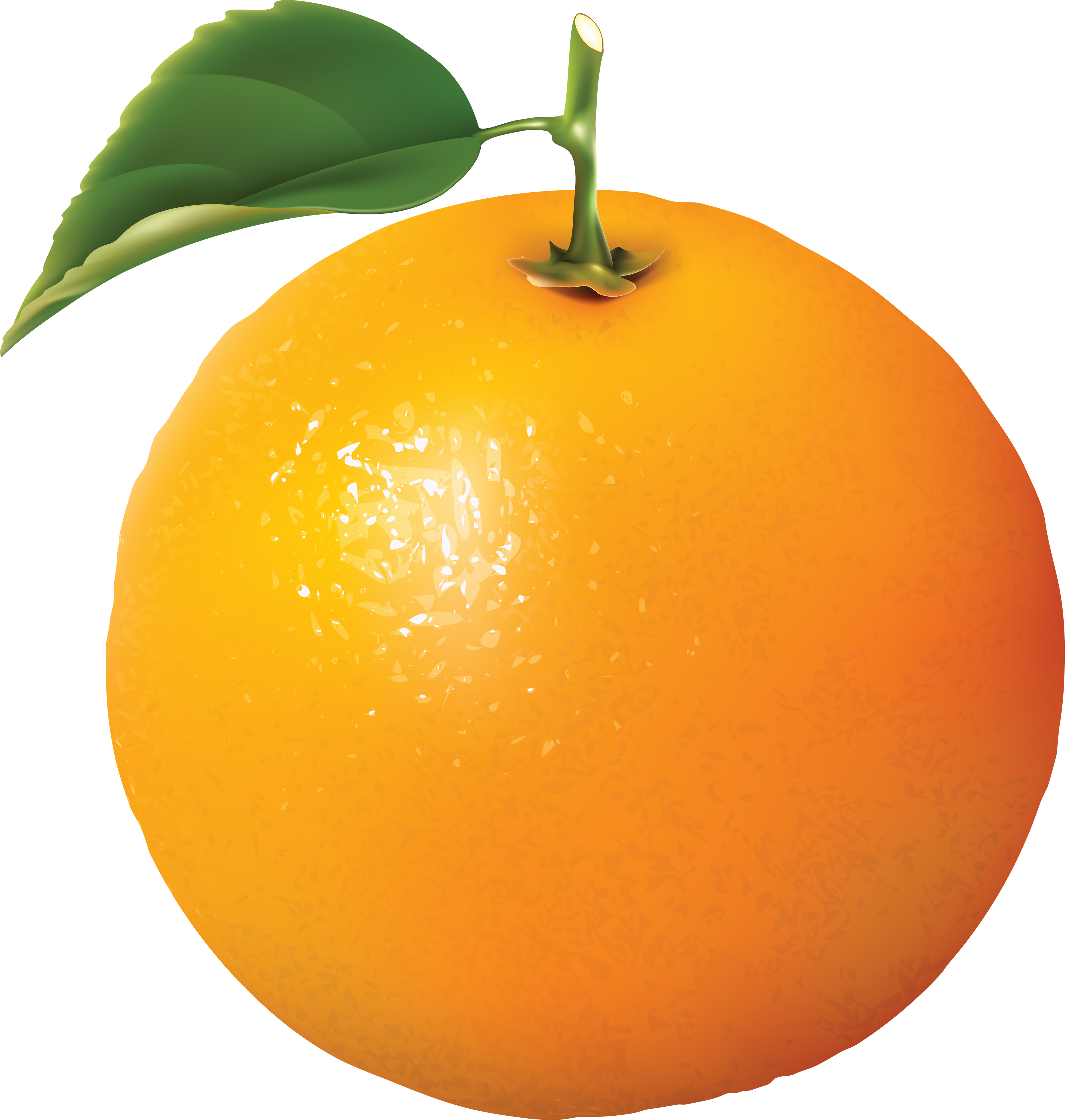 Naranja PNG