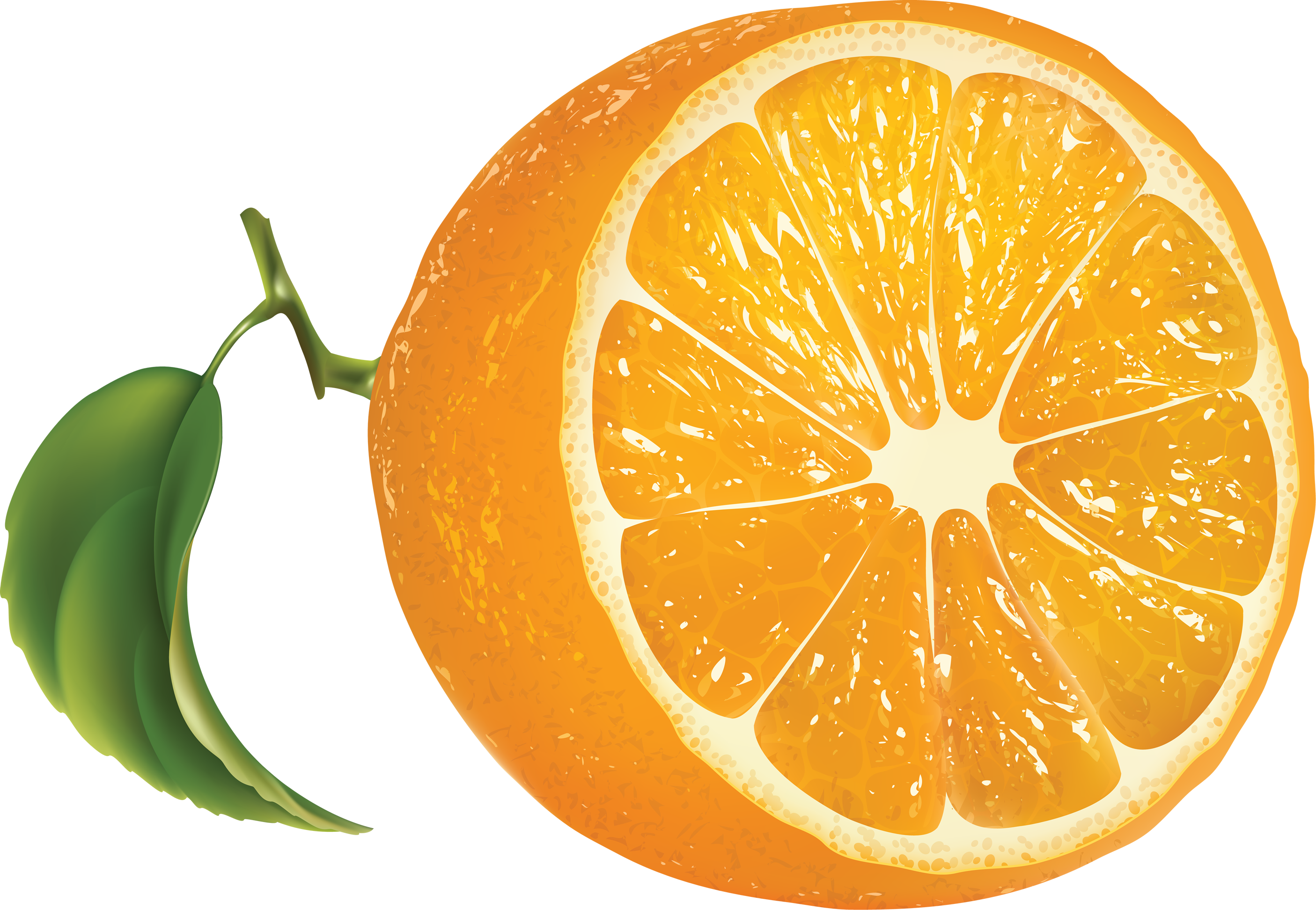 Orange Png Image Free Download