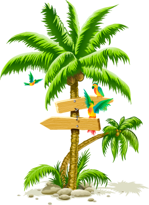 Tropical palm tree PNG