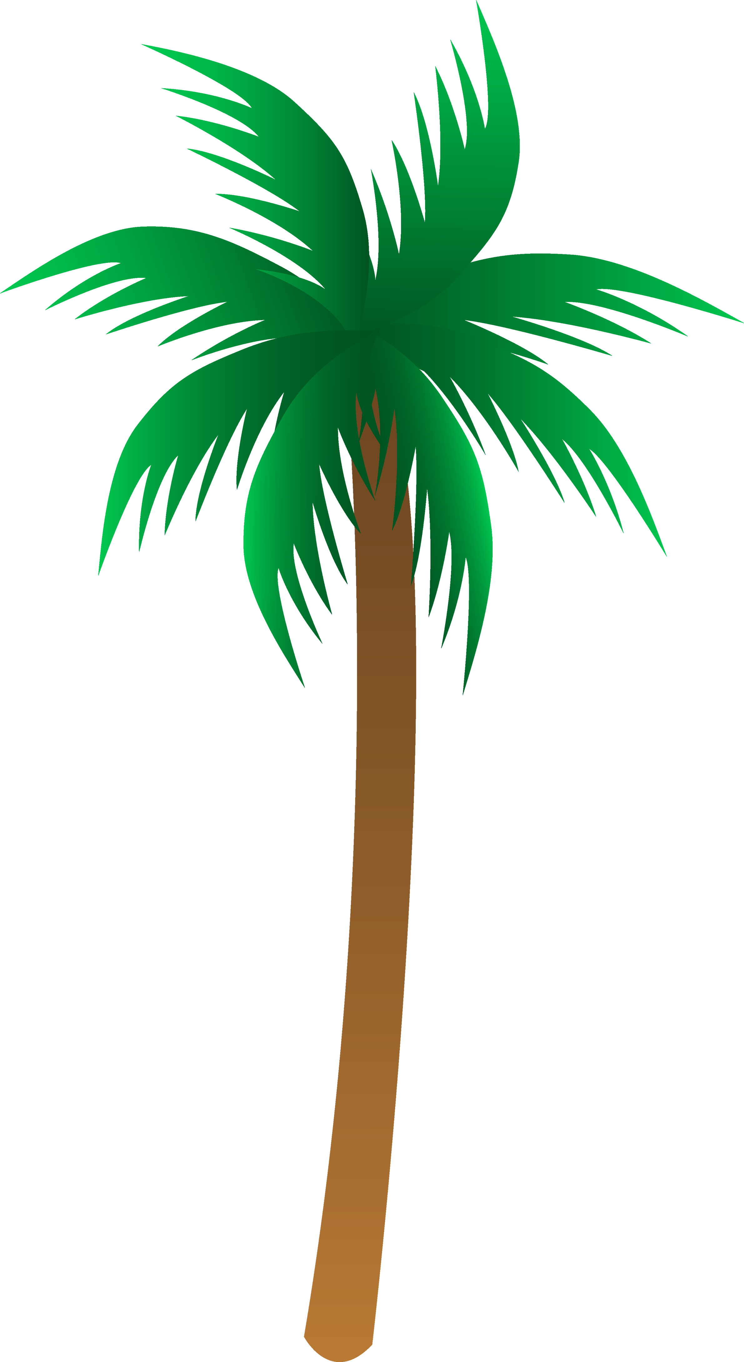 Palm tree PNG images Download