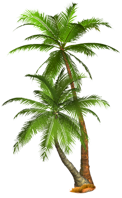 Get Transparent Background Coconut Tree Png Images Gif