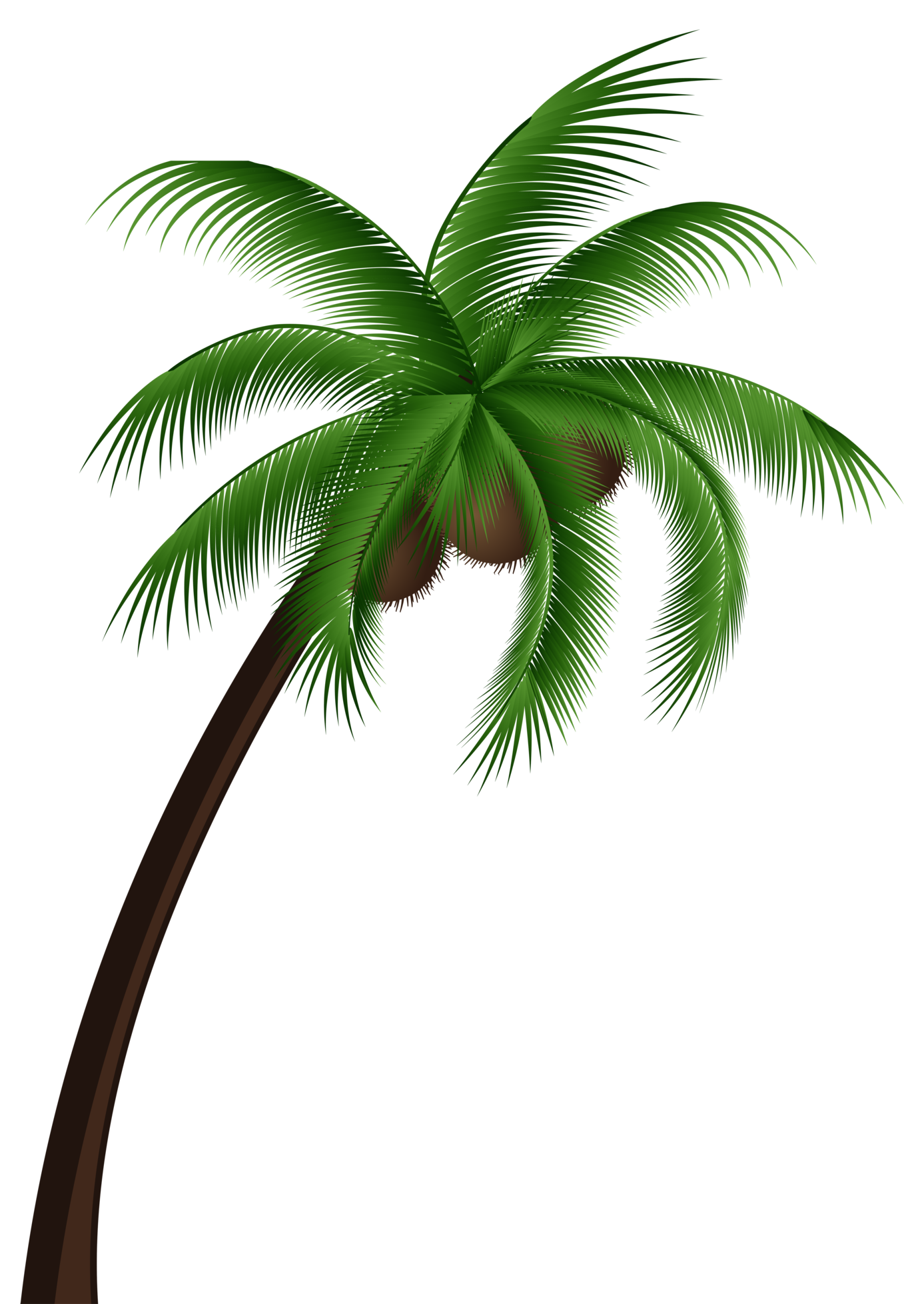 Palmera Vector Png Sin Fondo / Palm Leaves PNG Images | Vector and PSD