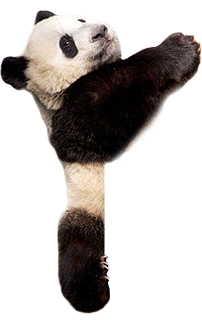 Panda PNG