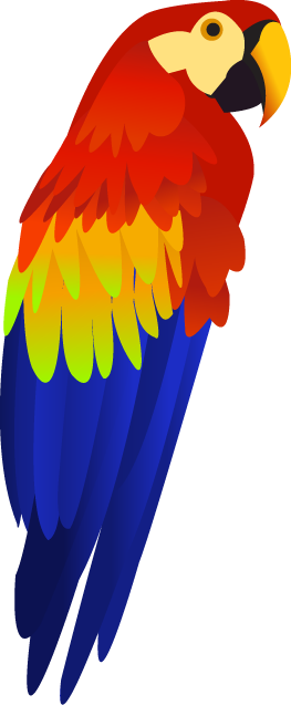 Colorful parrot PNG images, free download