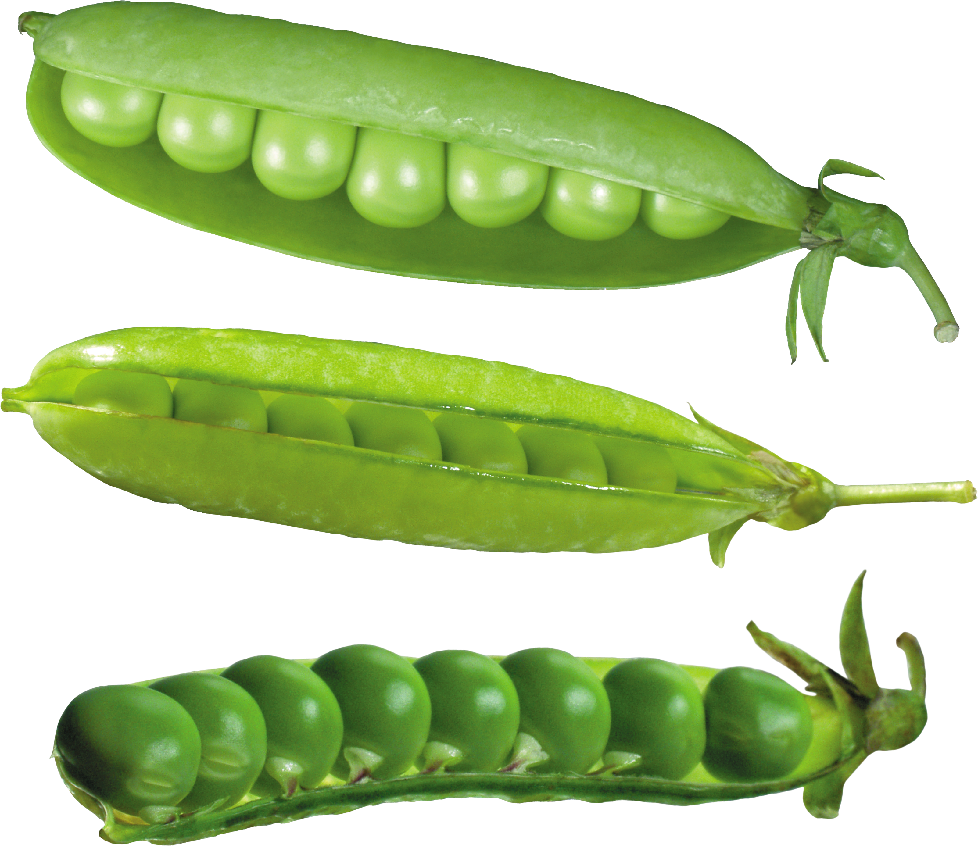 Pea PNG images