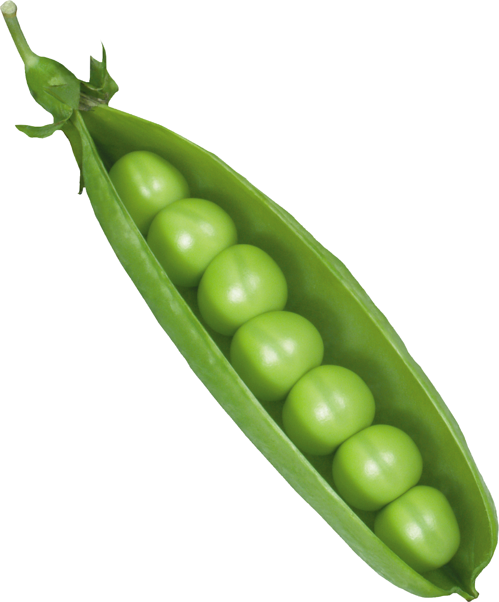 Pea PNG