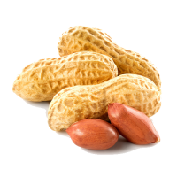 Cacahuete PNG