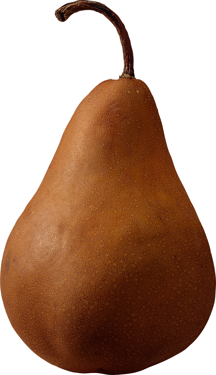 Brown pear PNG image