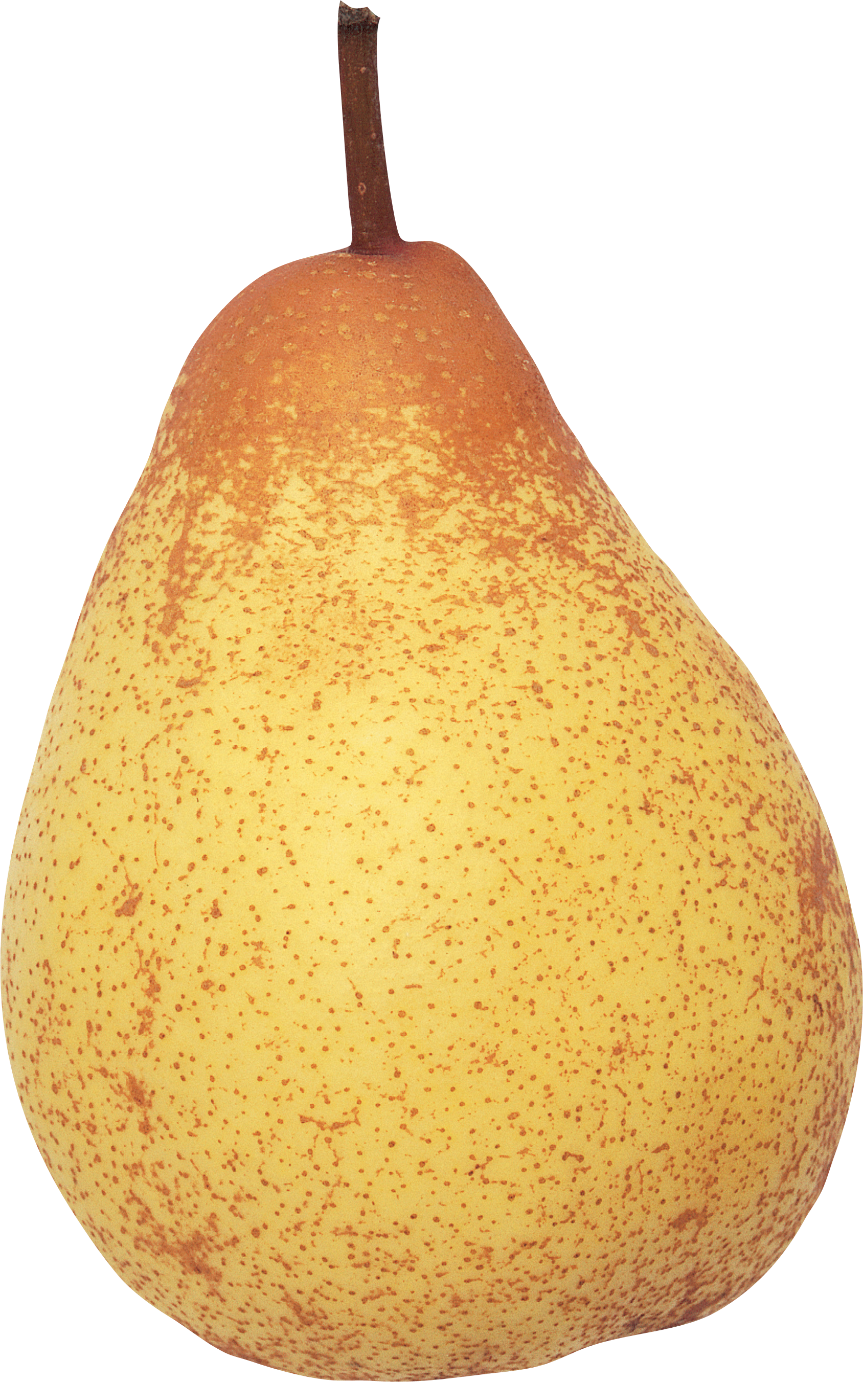 Pear PNG image free Download