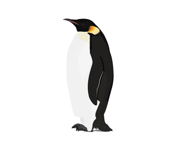 Pingüino PNG