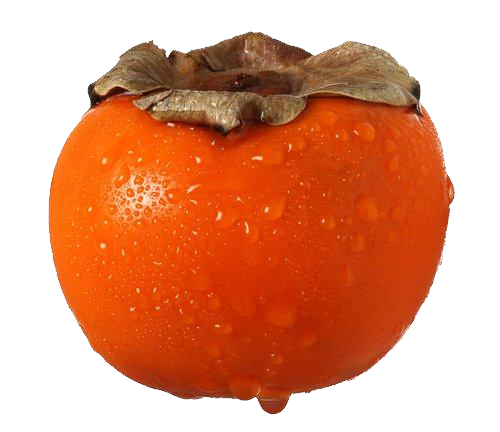 Persimmon PNG images