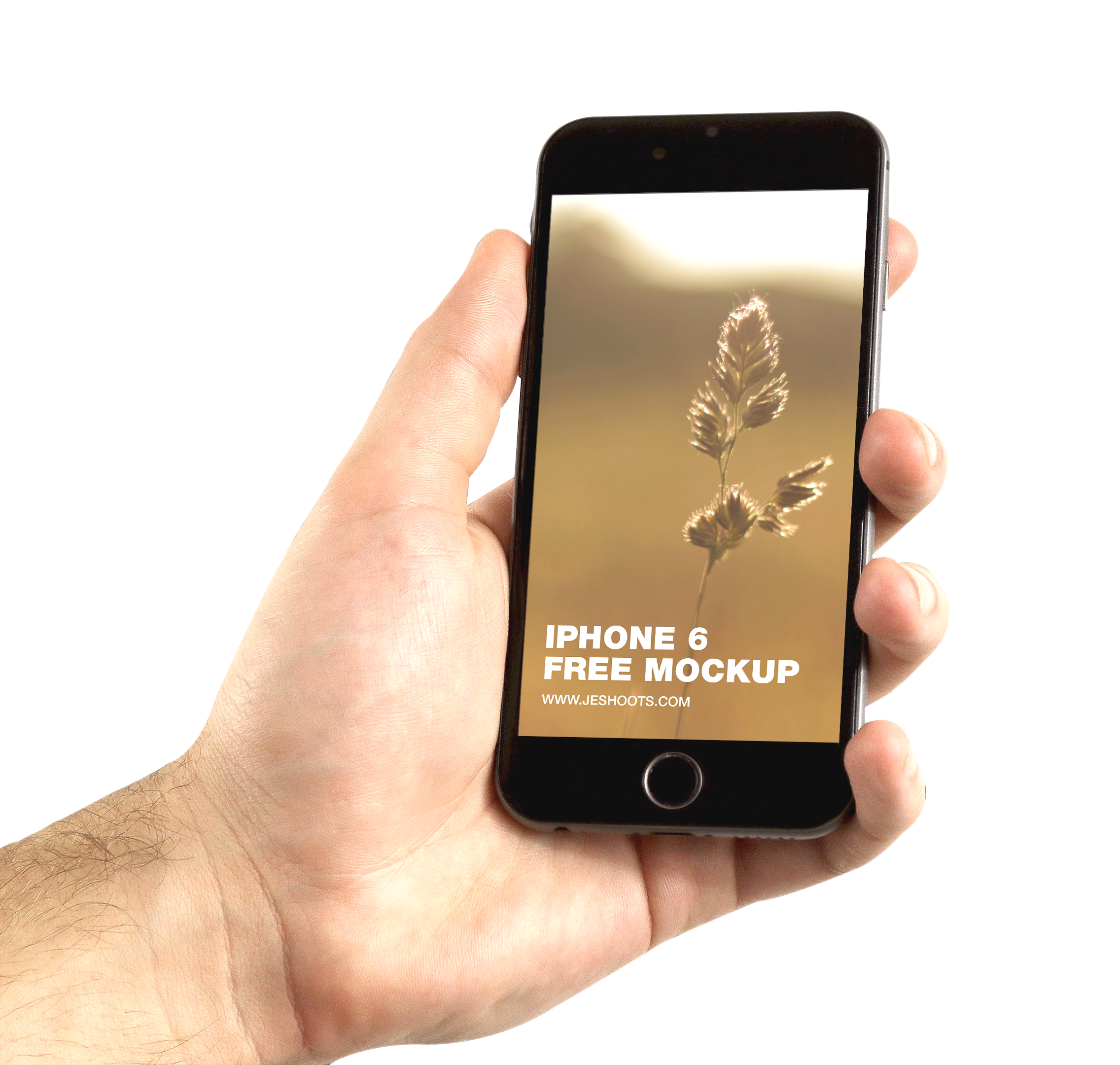 Phone in hand PNG image free Download 
