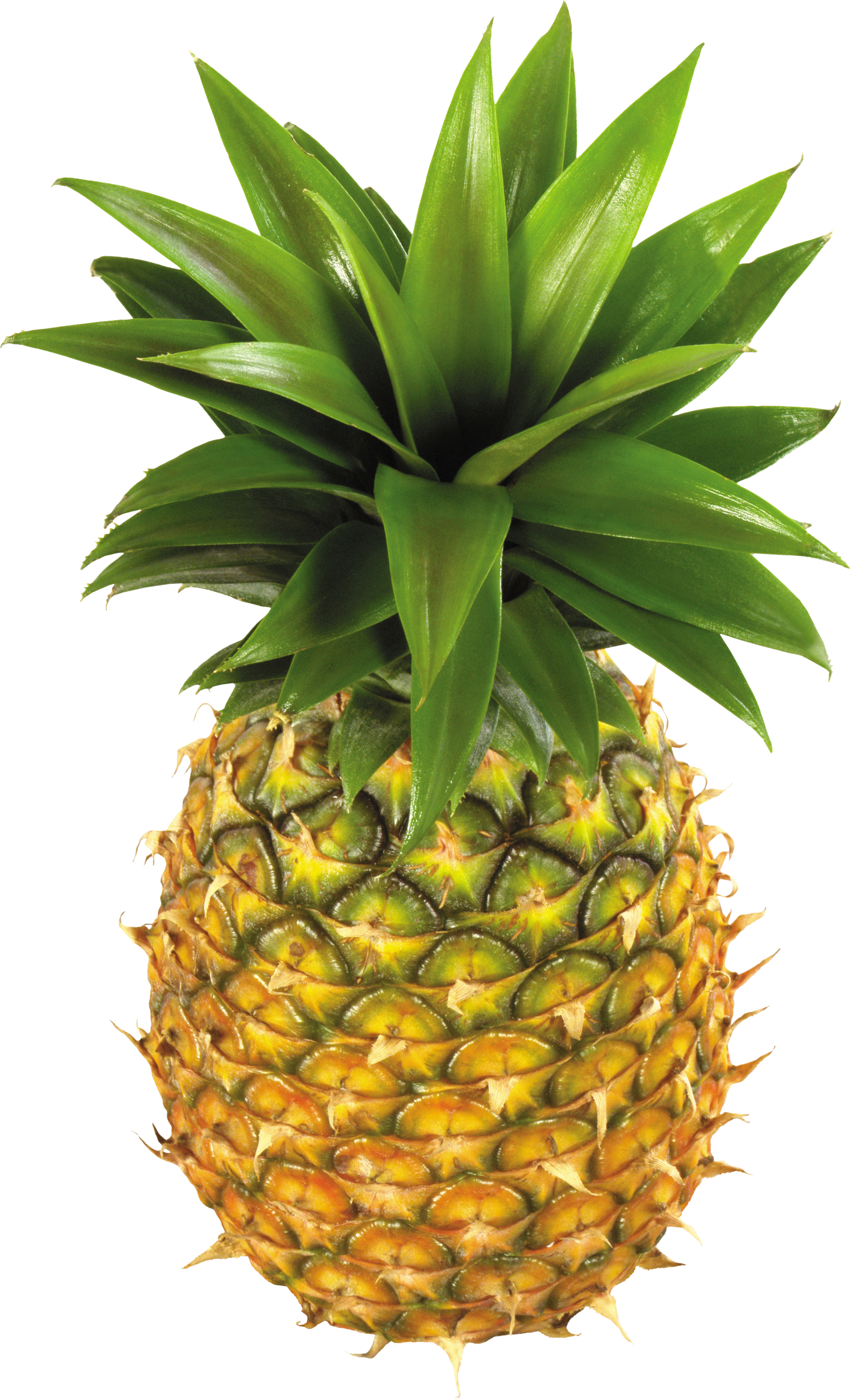 Pineapple fruit PNG image