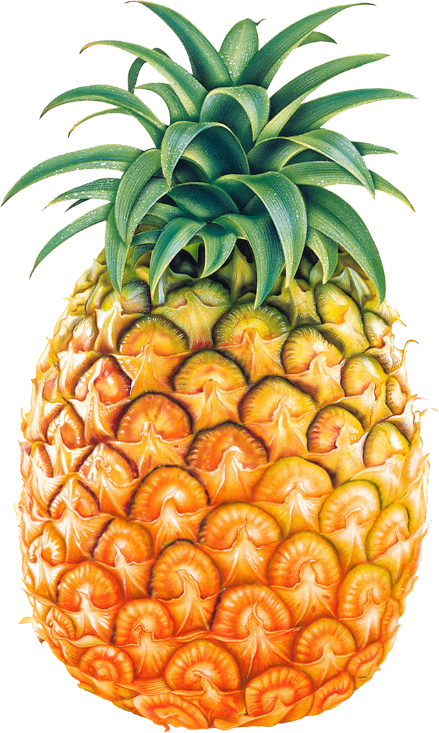 Pineapple PNG images Download