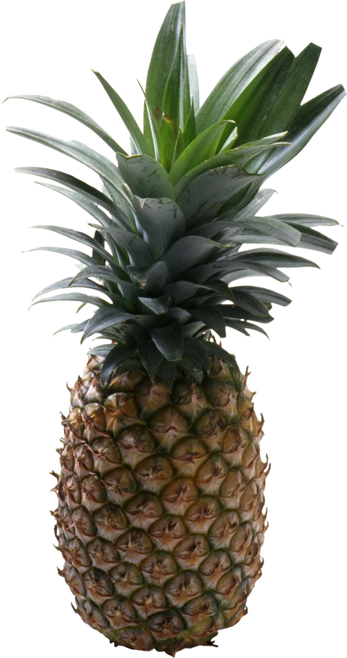 Pineapple fruit PNG image