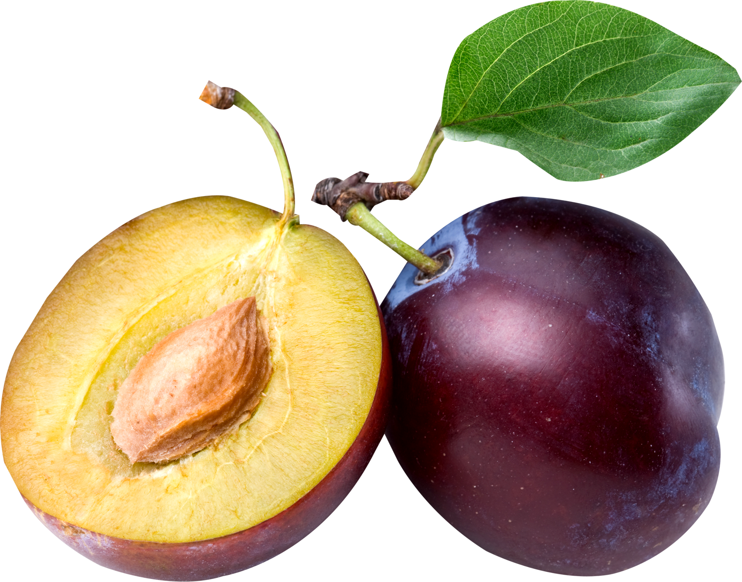 Plum PNG Image