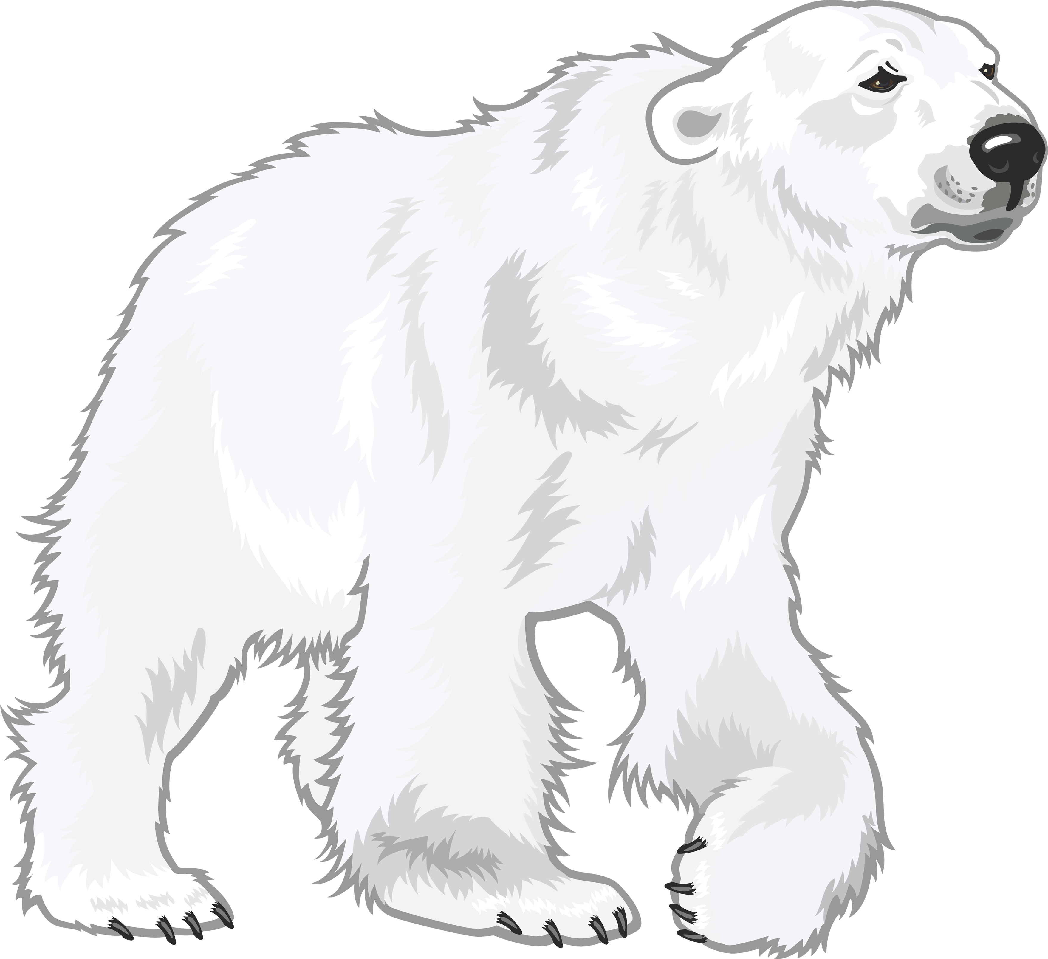 Polar Bear PNG Images Free Download