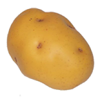 Картошка PNG фото