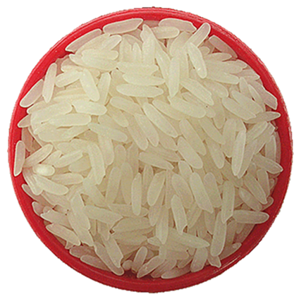 rice_PNG24.png