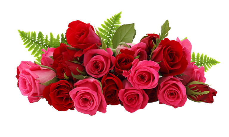 rose png flower images free download pngimg com