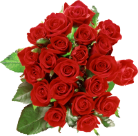 Розы цветы букет PNG фото