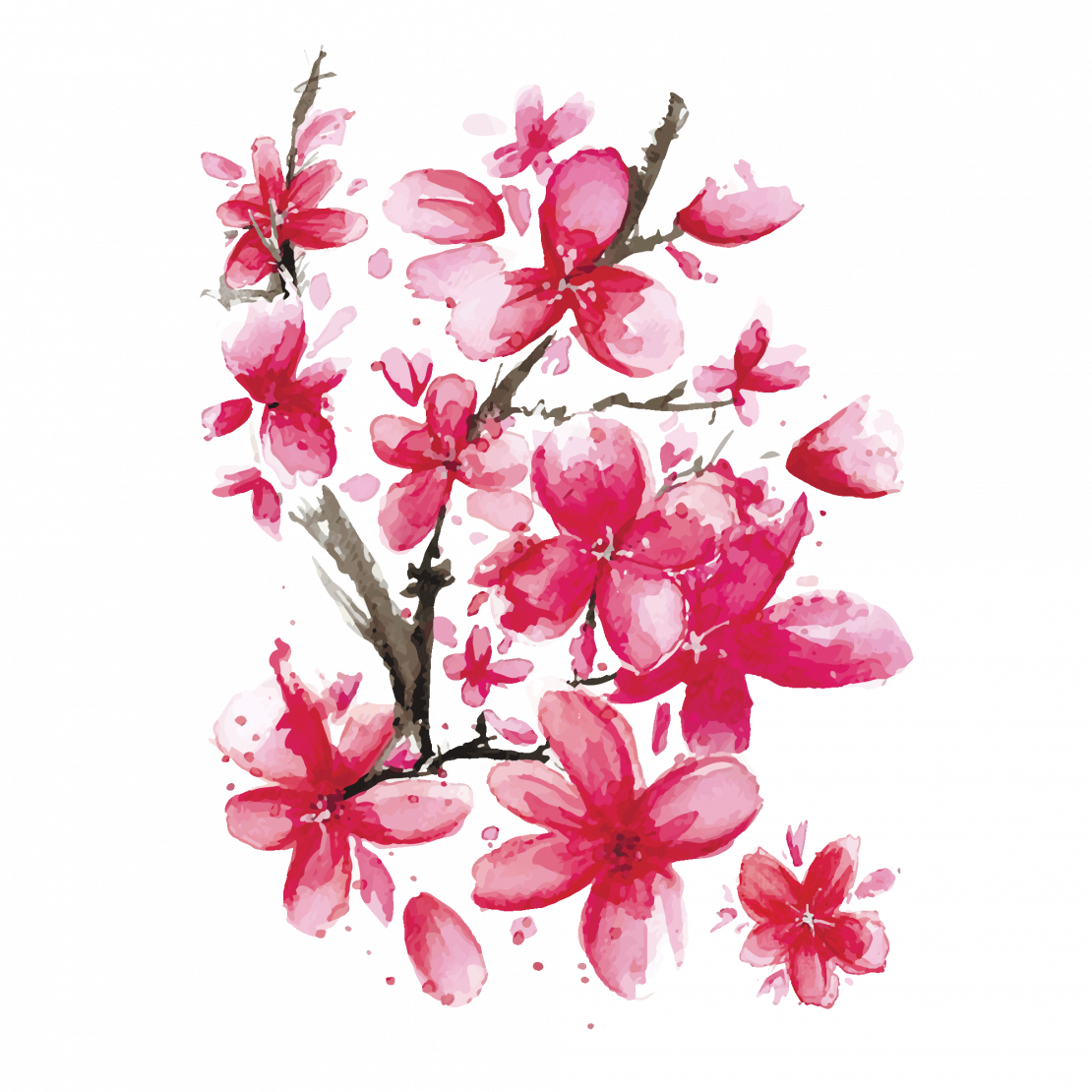 Sakura PNG images