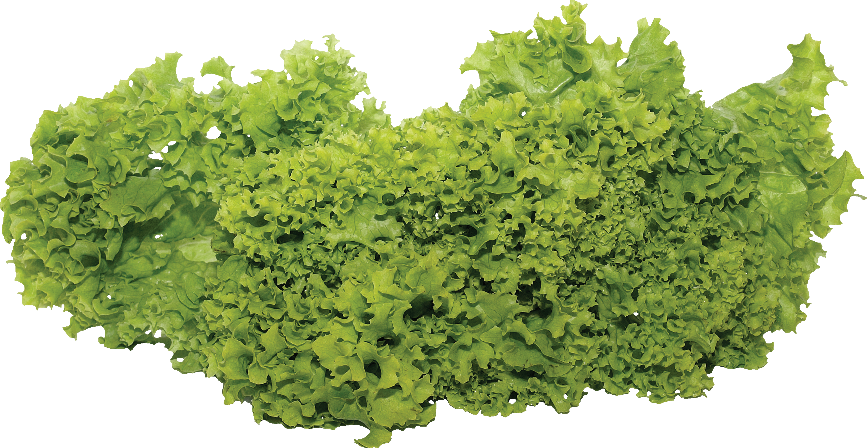 Green salad PNG image