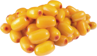 Hippophae PNG