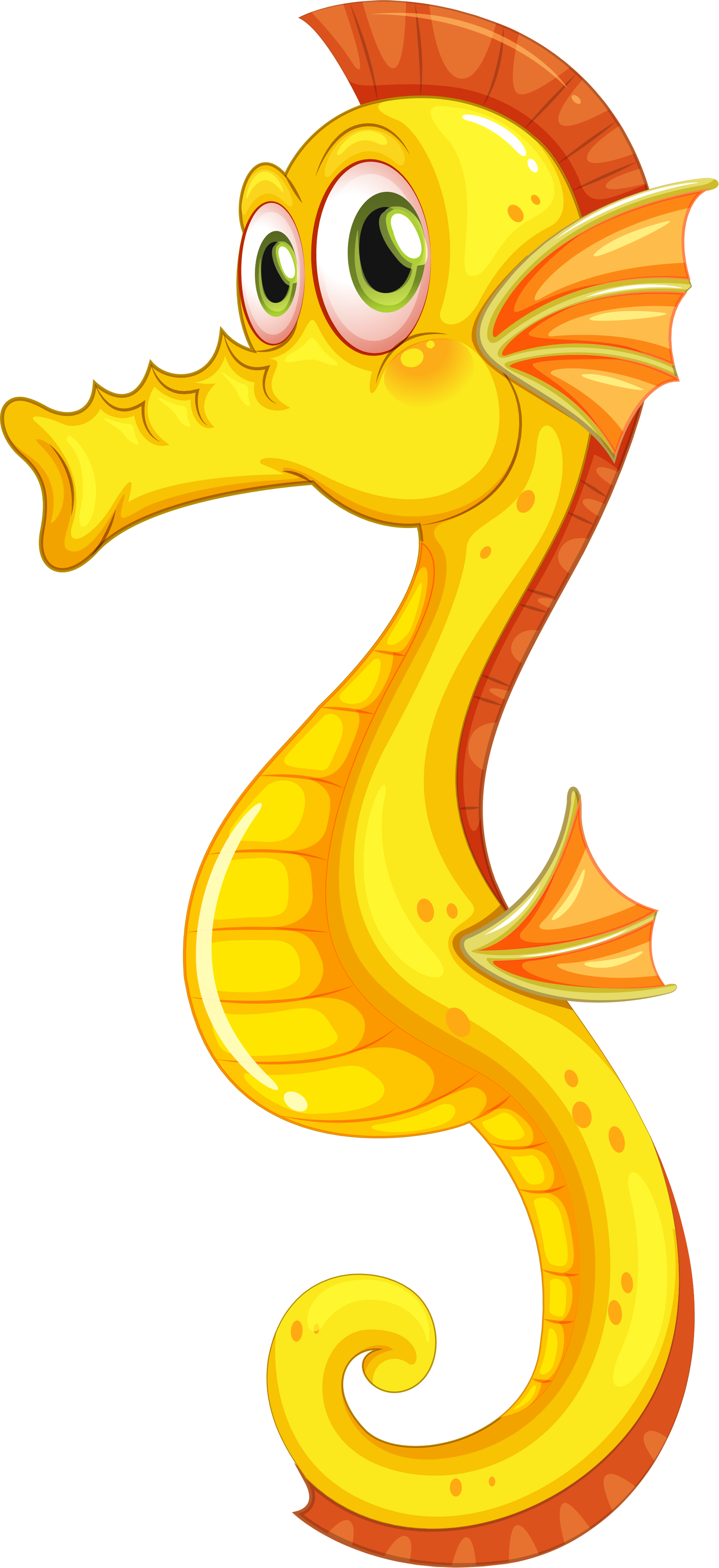 Seahorse PNG