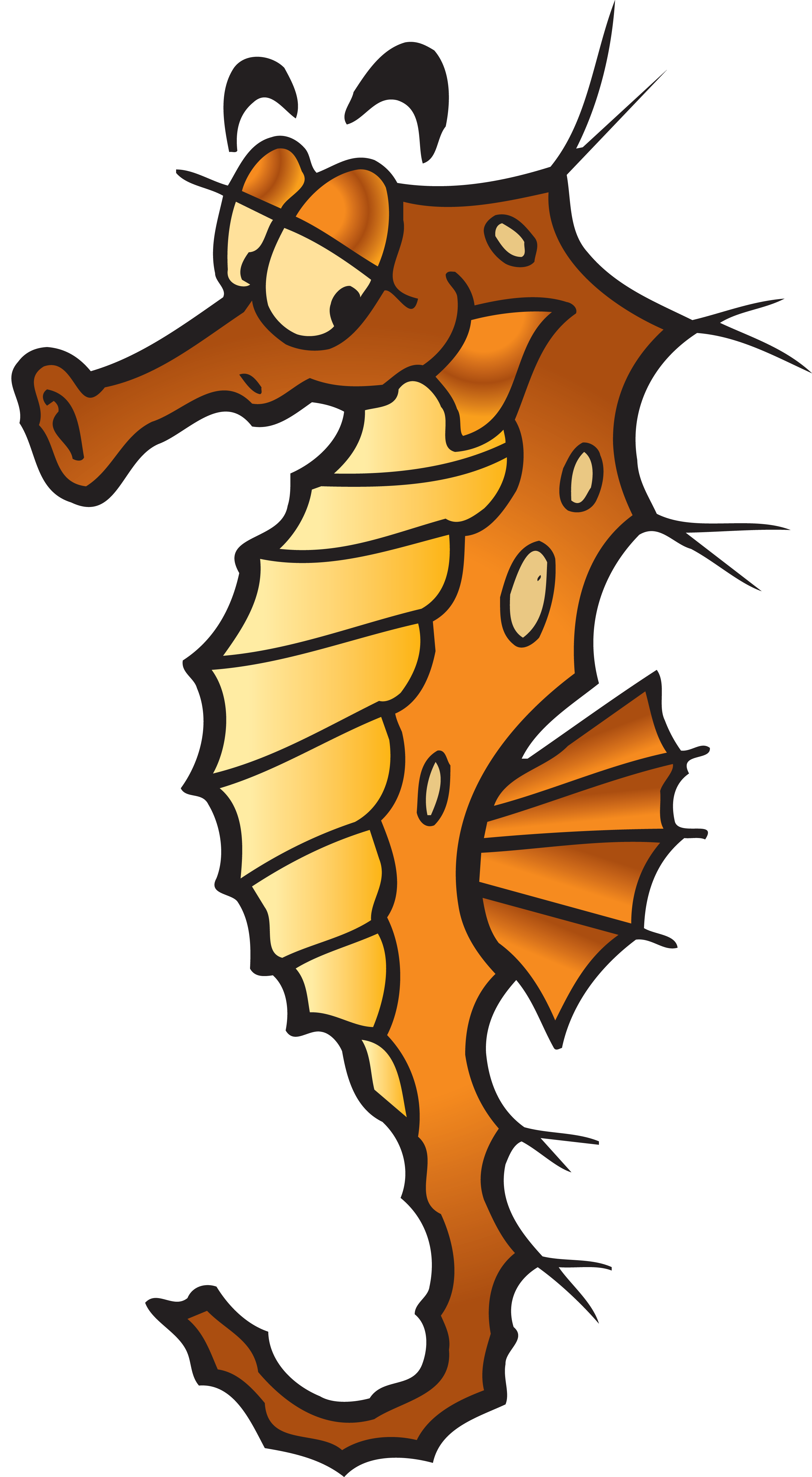 Seahorse PNG images Download