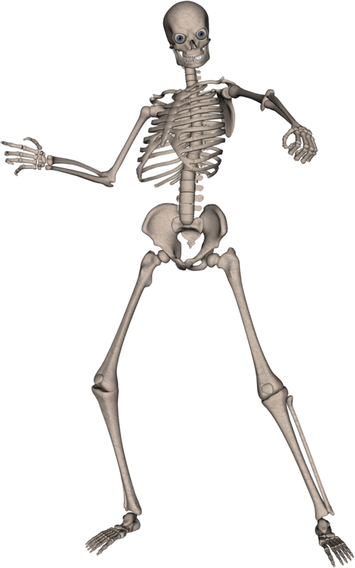 Skeleton PNG images  image