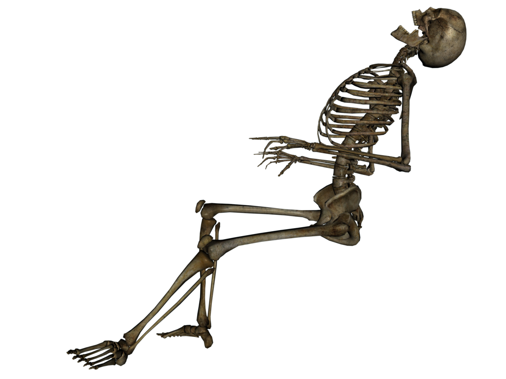 Skeleton PNG images  image