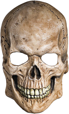 Skull PNG image