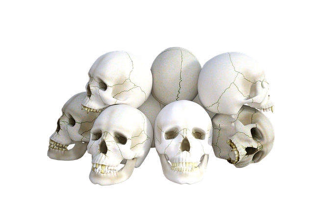 Skulls PNG