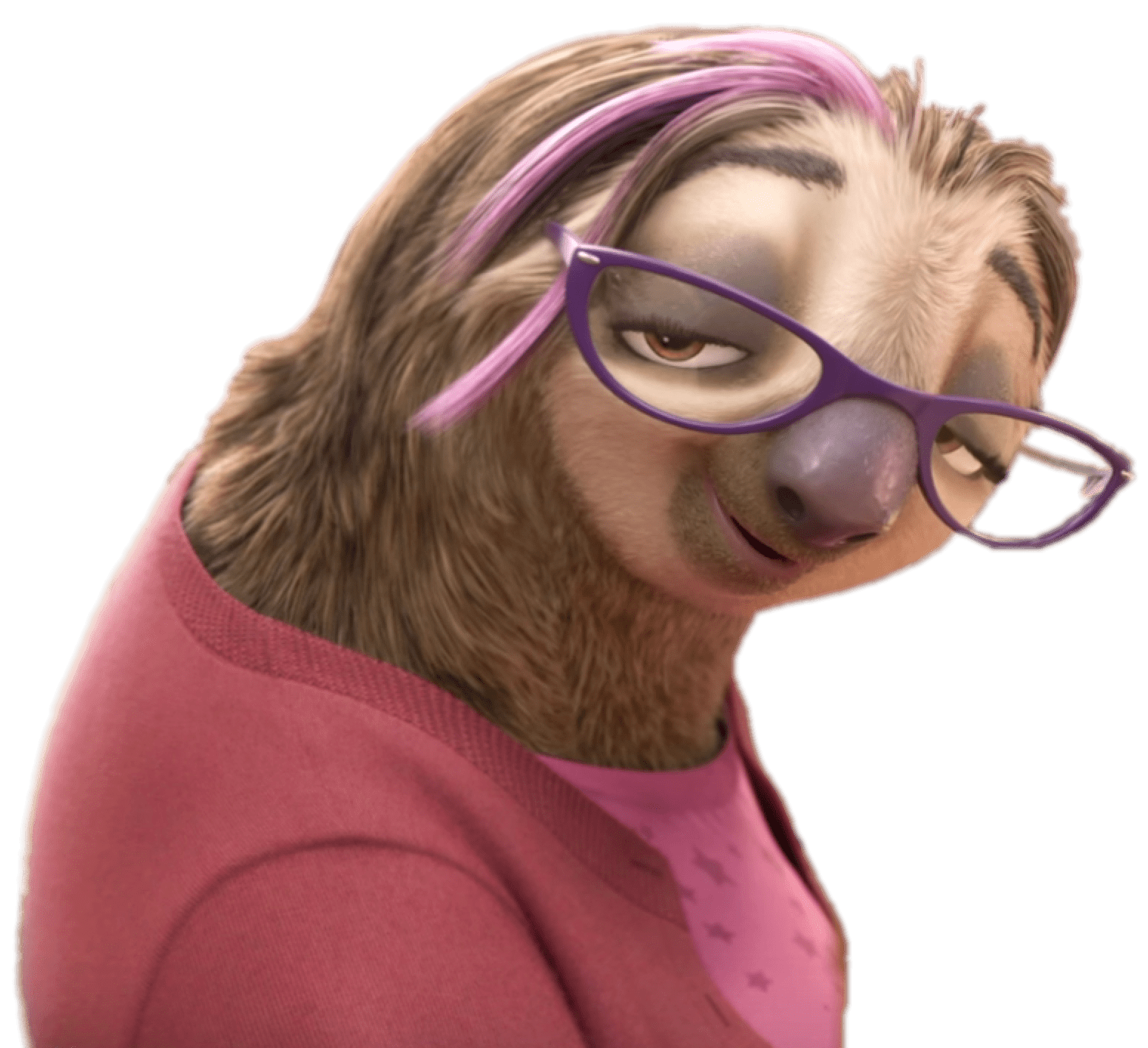 7-sloth-facts-you-probably-didn-t-know