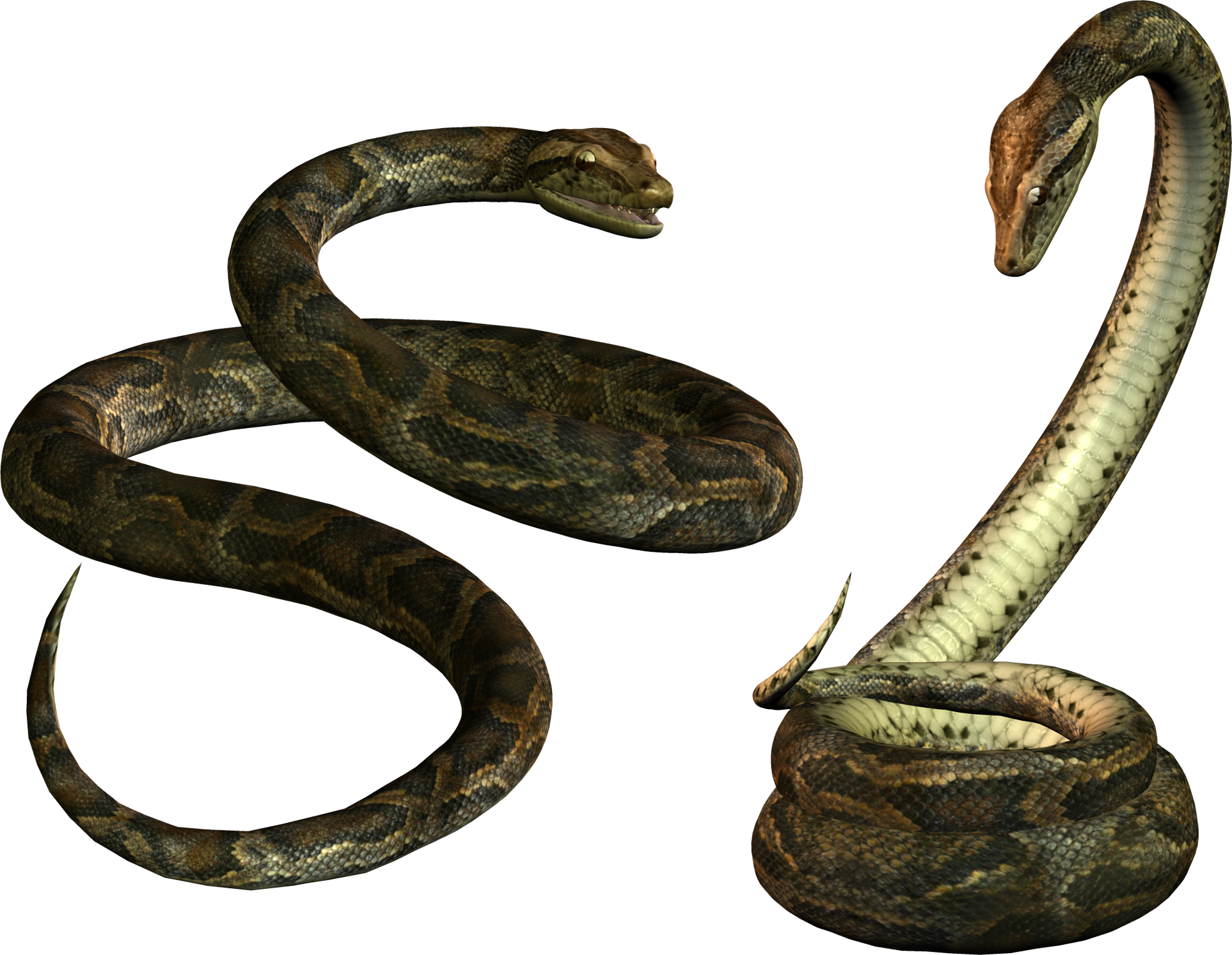 Snake PNG images Download
