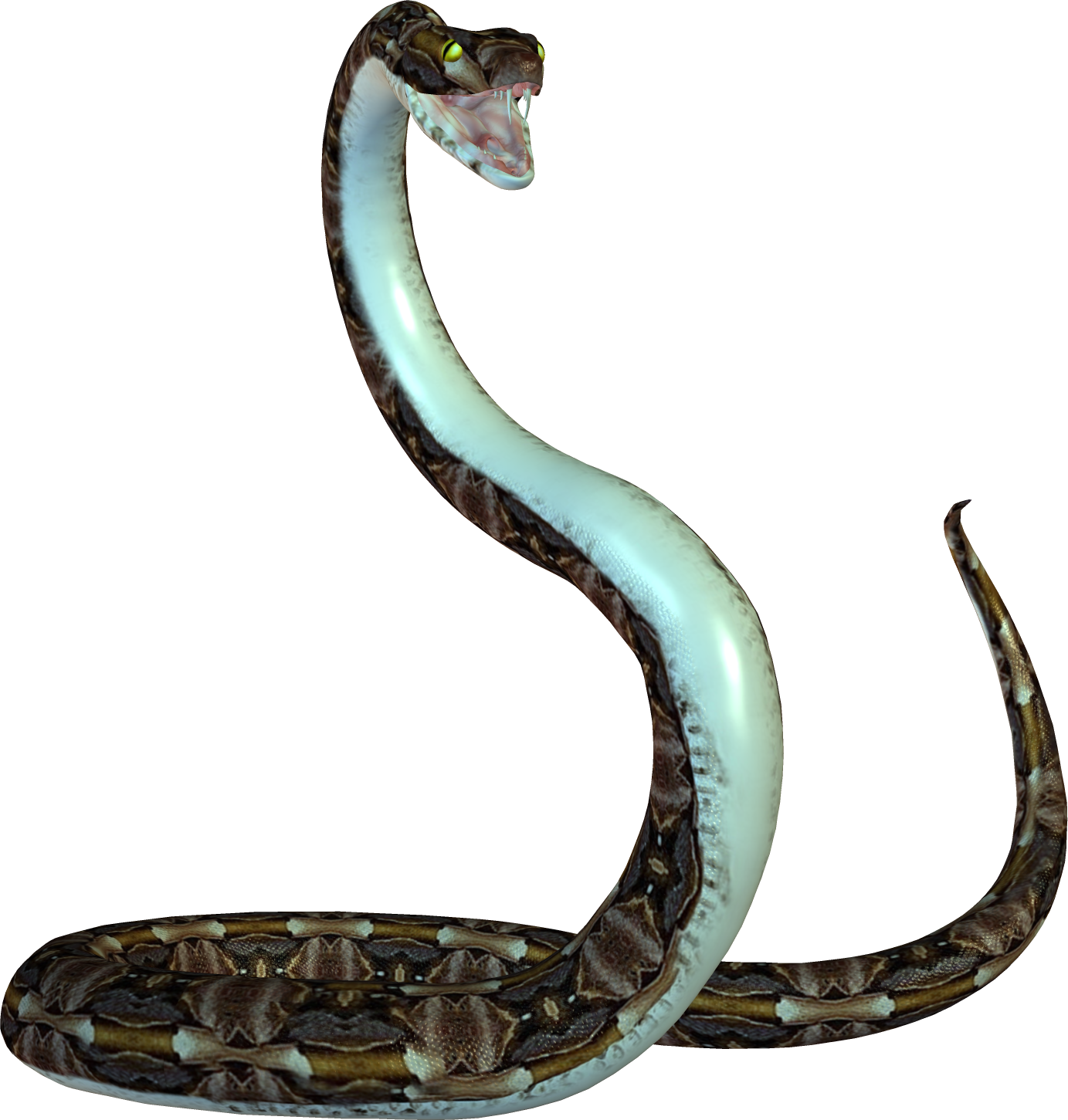 Serpiente PNG