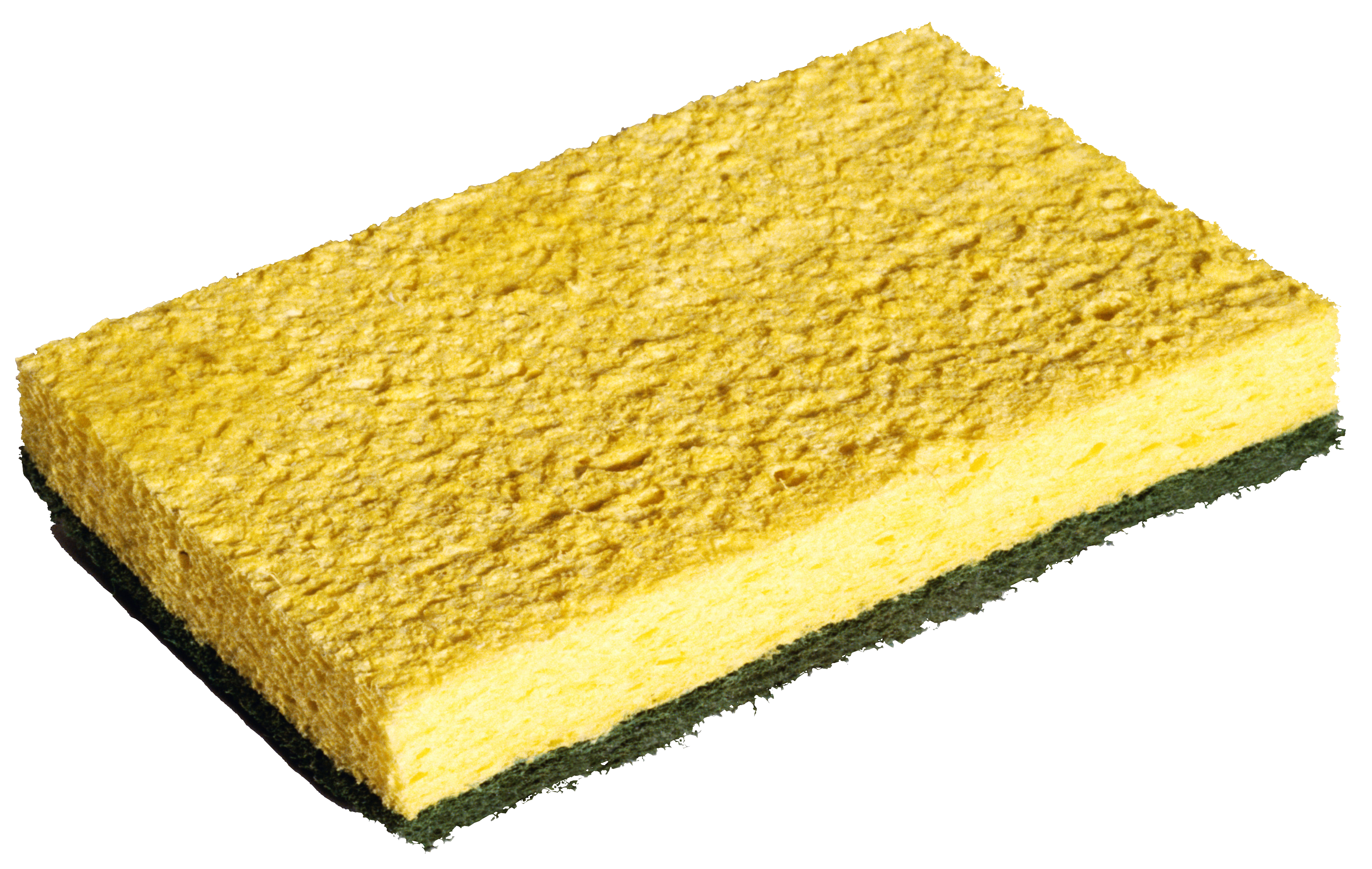 Sponge PNG images 