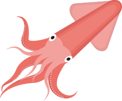 Squid PNG images Download