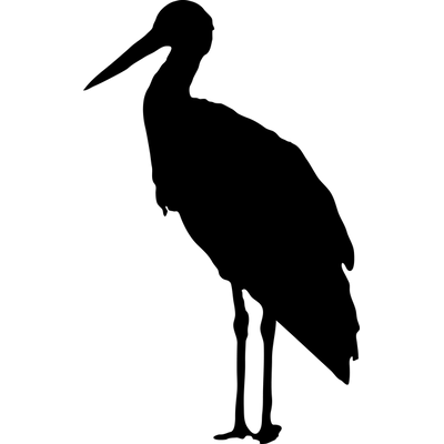 Stork PNG images