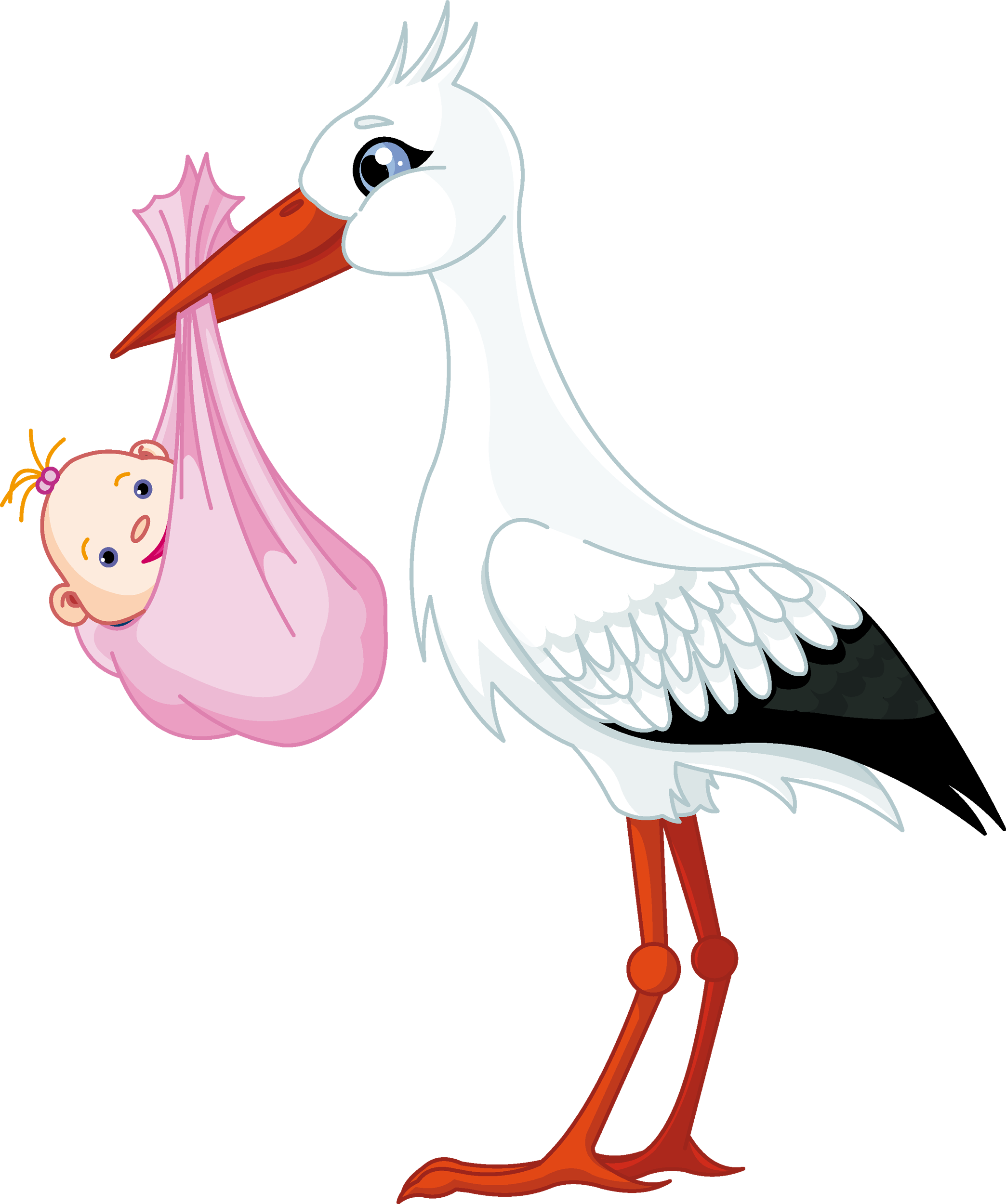 stork baby PNG