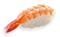 sushi PNG