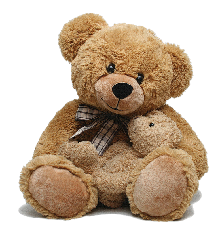 janu teddy bear