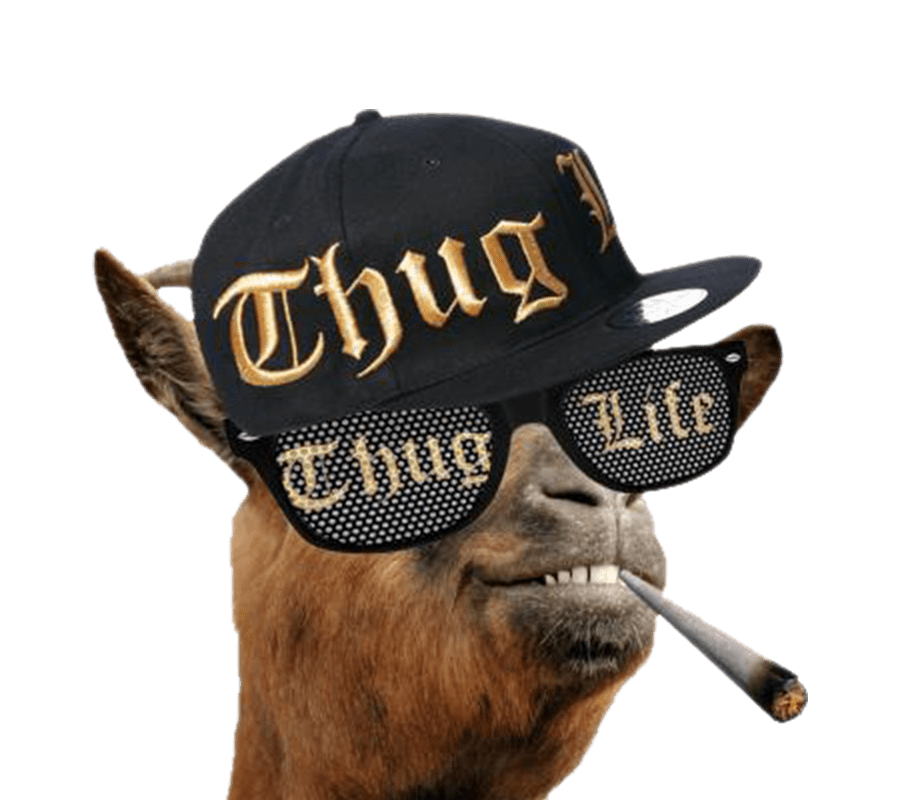 Thug life goat PNG