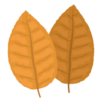 Tabaco PNG