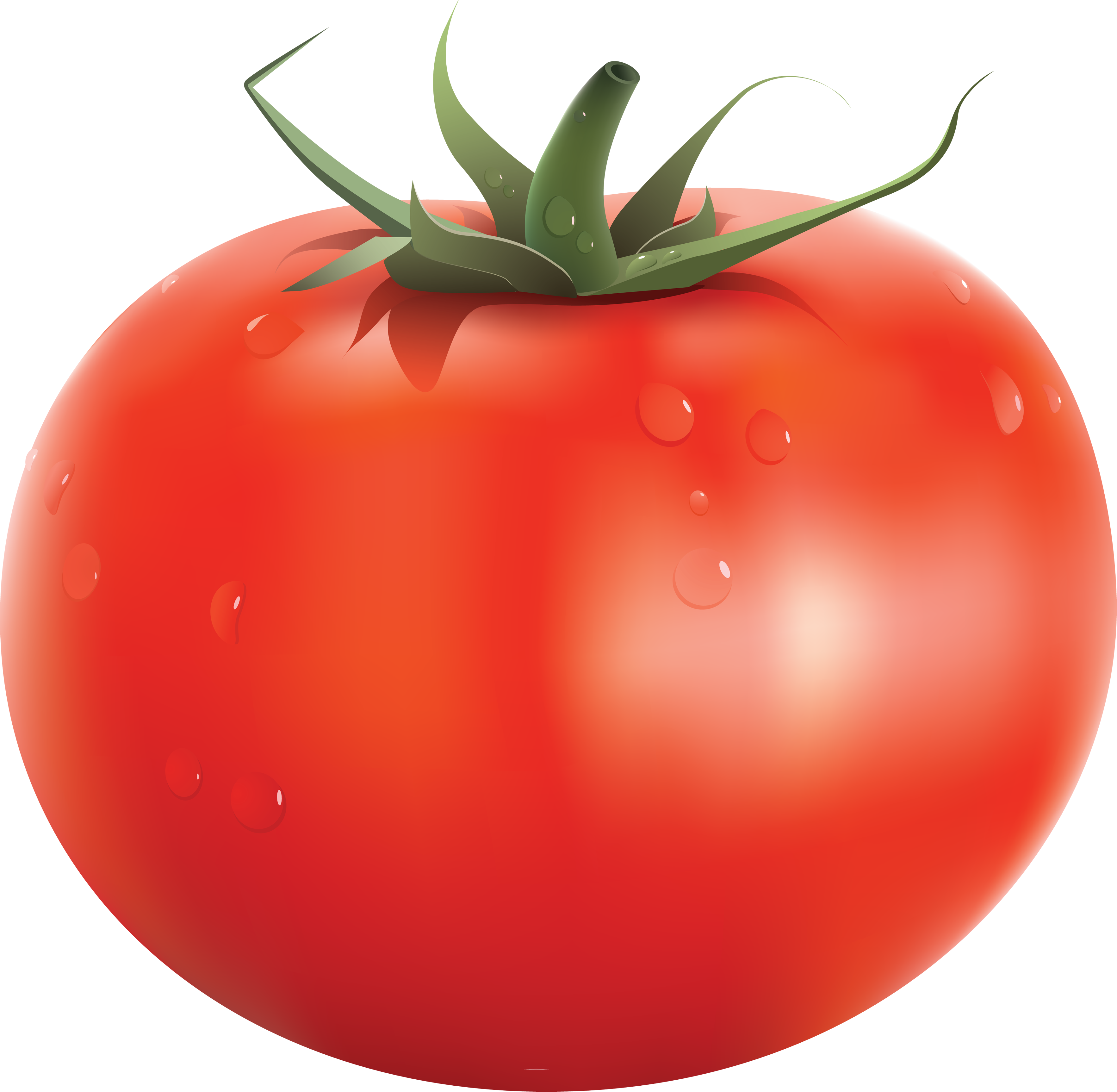 Tomato PNG