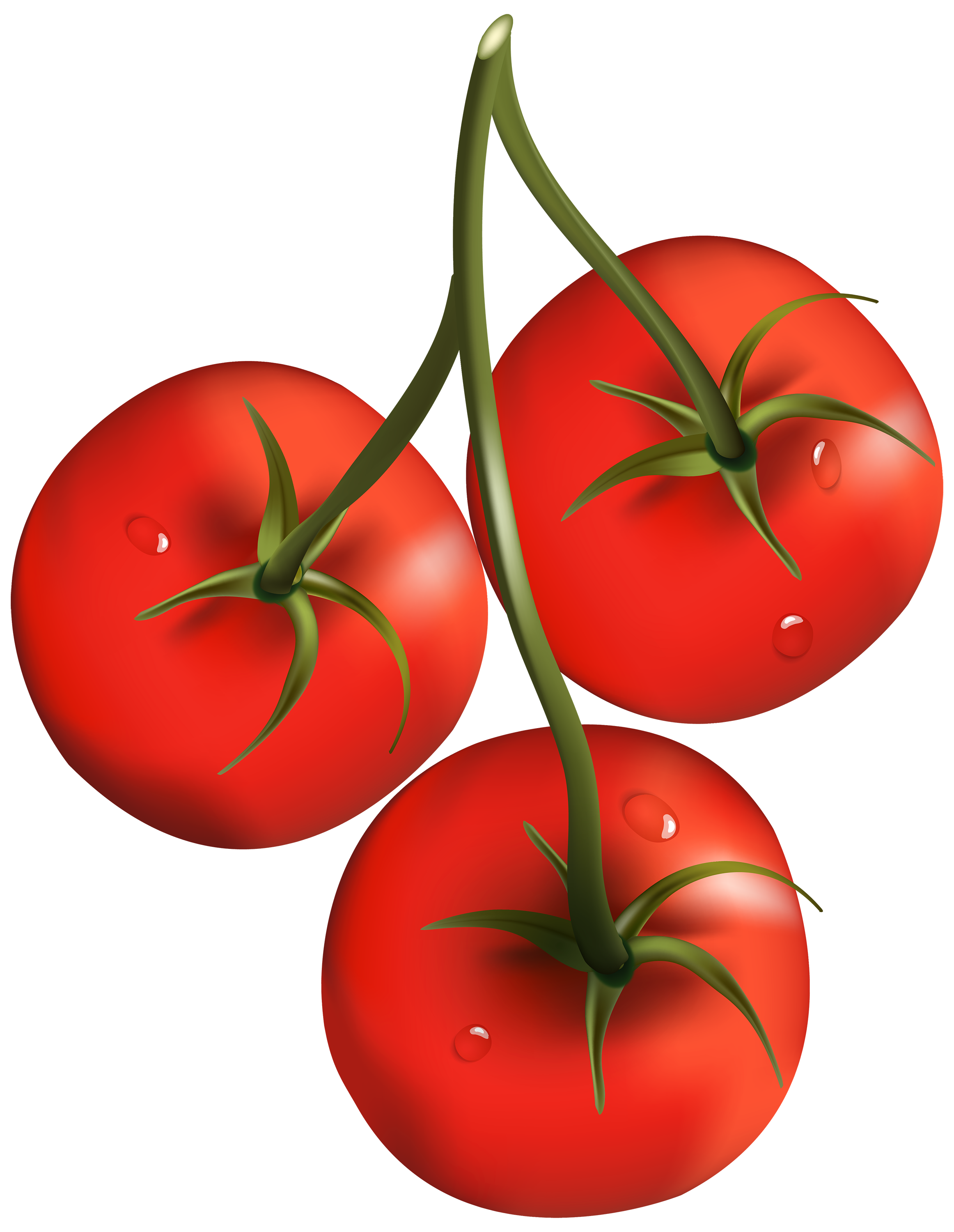 Tomate PNG