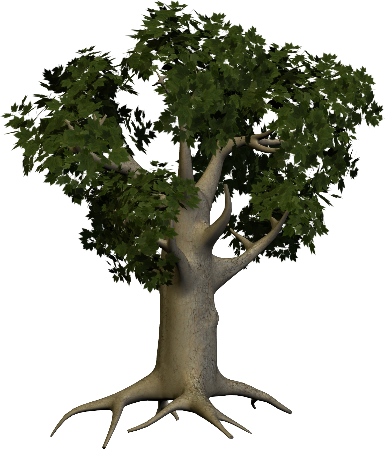 Tree PNG image free Download