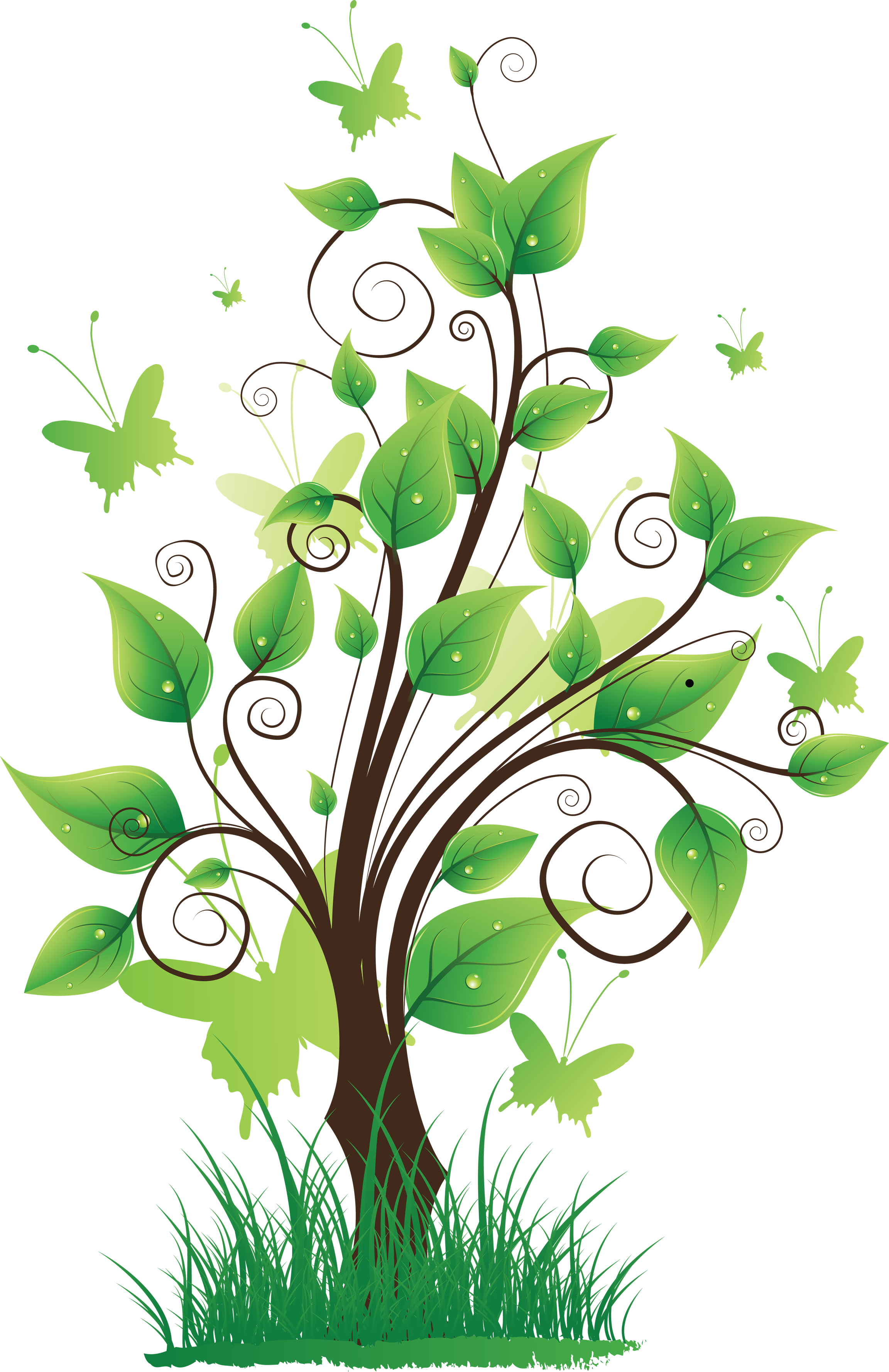 Tree Png Images Pictures Download Free